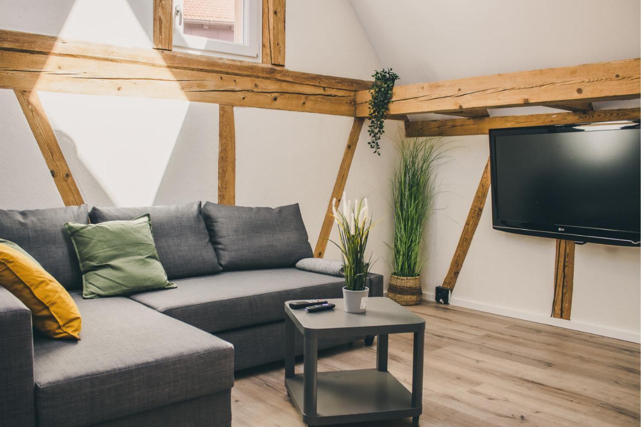 Apartment Im Alten Fronhof Balingen Dış mekan fotoğraf